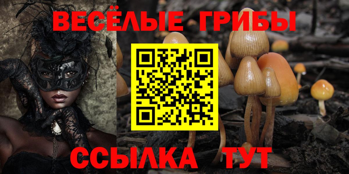 Псилоцибиновые грибы ЛСД  Вход с VPN  Дзержинск 