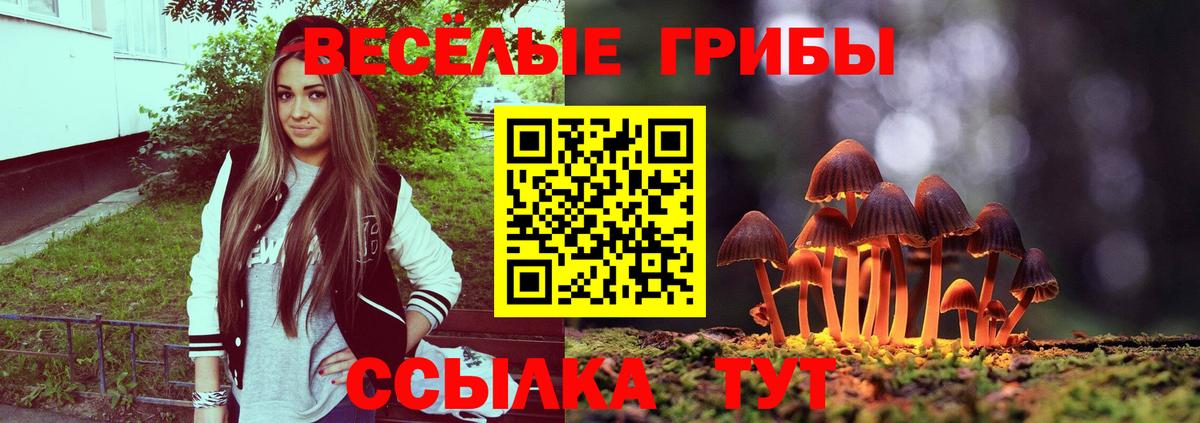 Галлюциногенные грибы прущие грибы Дзержинск